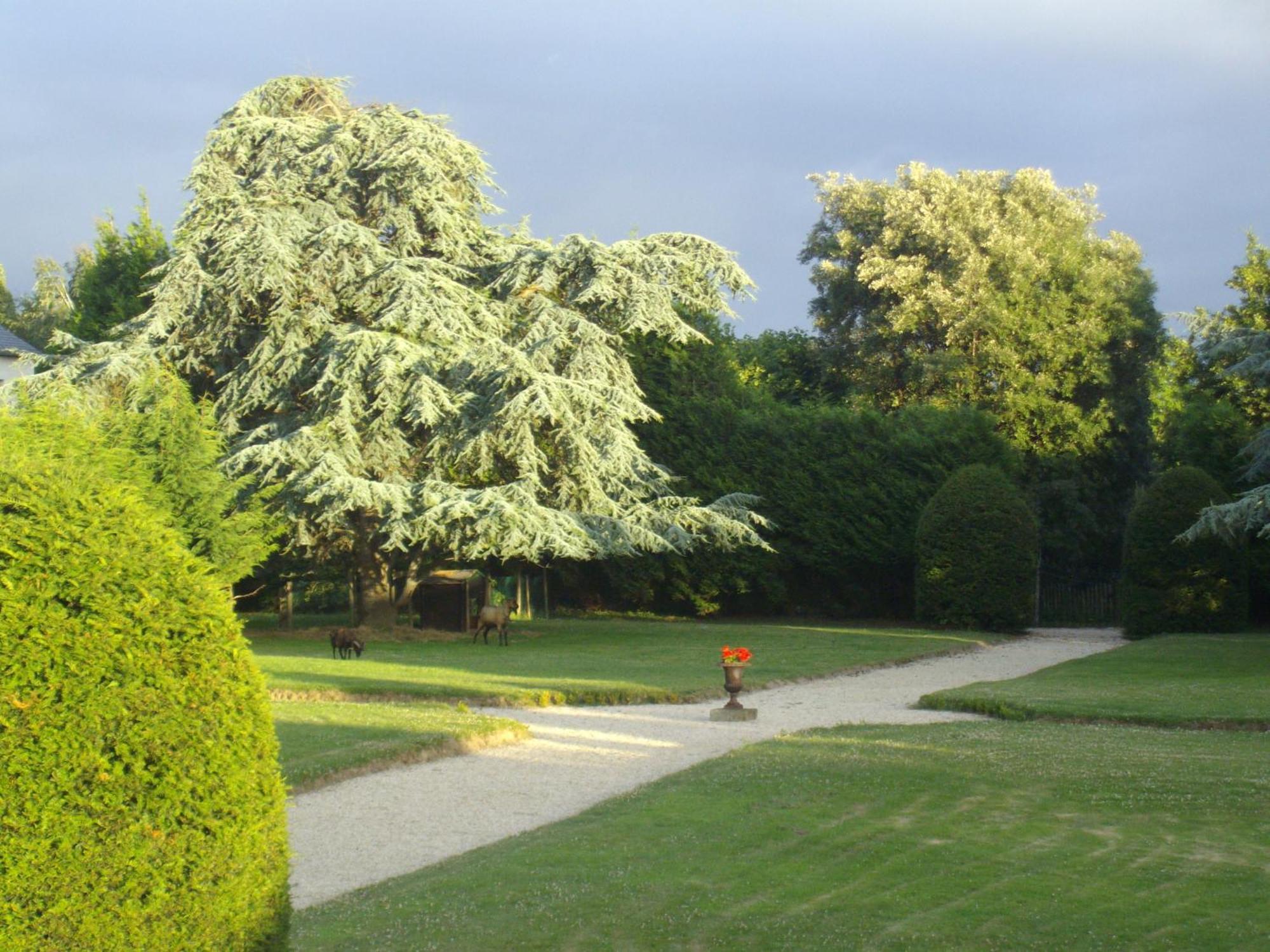 Manoir De La Baronnie Bed and Breakfast Saint-Malo Buitenkant foto